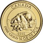 1/4 oz Canadian Polar Bear 2015 Gold Coin